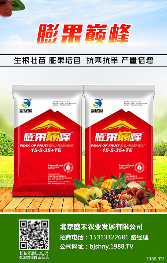 冬季大棚番茄空心果是什么原因，怎樣避免番茄空心果發(fā)生？