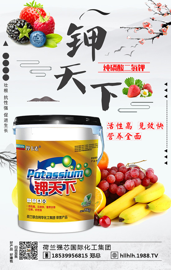 荷蘭強(qiáng)芯國際化工集團(tuán)2