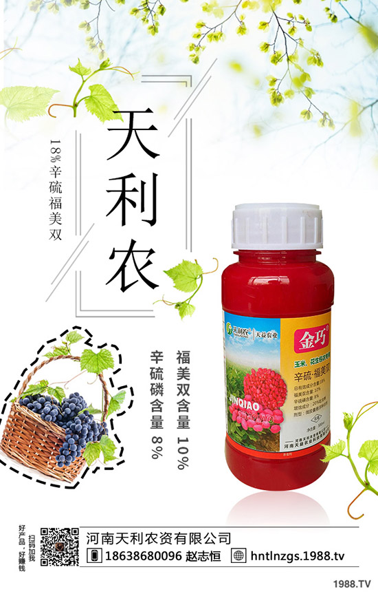 冬棗縮果病是咋回事？冬棗縮果病發(fā)病癥狀、原因和防治措施！