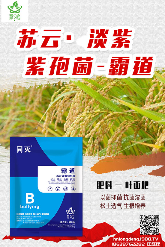 如何種植盆栽玫瑰，盆栽玫瑰的種植方法和注意事項(xiàng)！