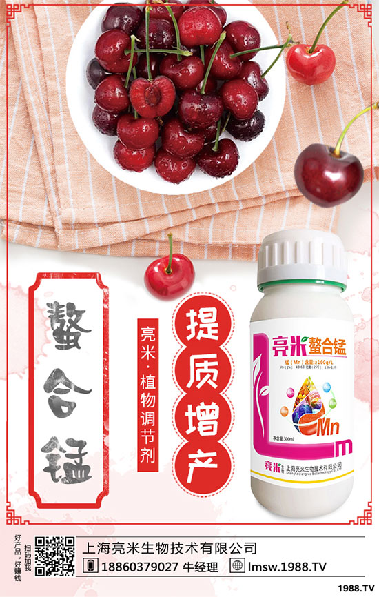 黃秋葵有哪些營養(yǎng)價值？黃秋葵高產(chǎn)栽培技術(shù)