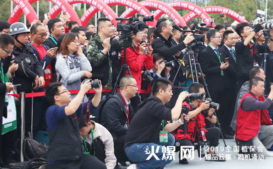 2019��35��ȫ��ֲ��������ʢ���_Ļ������ȼ��ȫ����