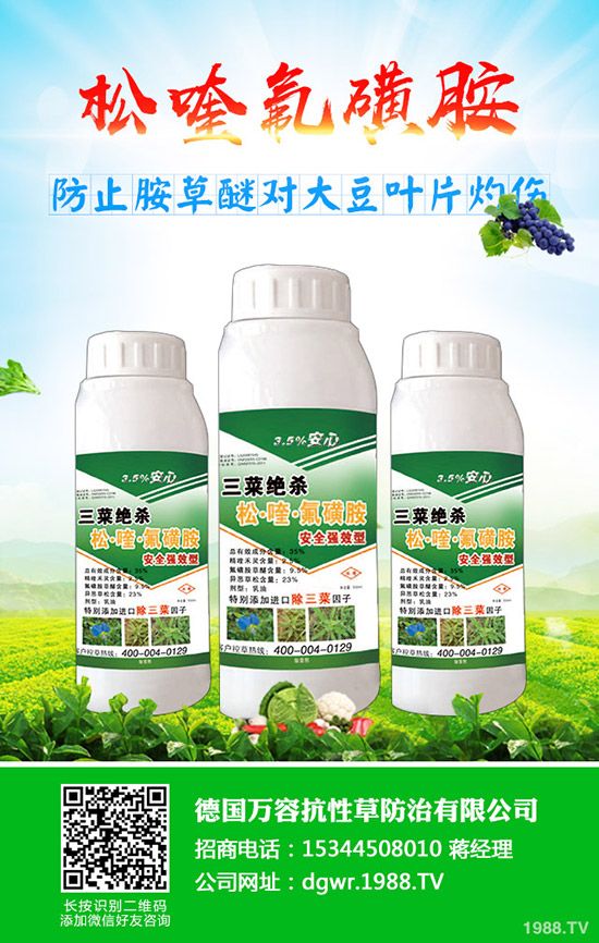 黃豆什么時(shí)間種植,黃豆的種植方法有哪些?