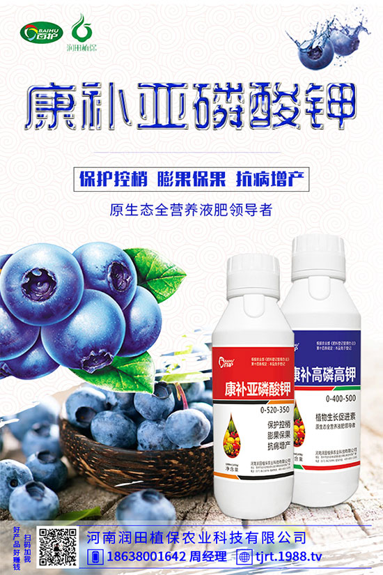 地老虎有什么危害特點？馬鈴薯地老虎的防治措施！