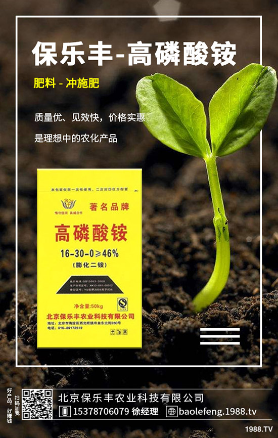 蘿卜病毒病發(fā)生規(guī)律有哪些？蘿卜病毒病防治要點(diǎn)！