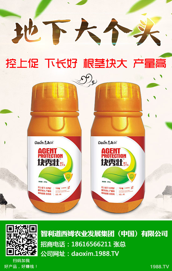 蘿卜得了炭疽病怎么辦？蘿卜炭疽病癥狀和防治方法！