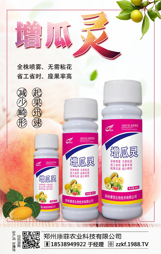 大棚南瓜怎么種植？大棚南瓜的種植中要點(diǎn)！