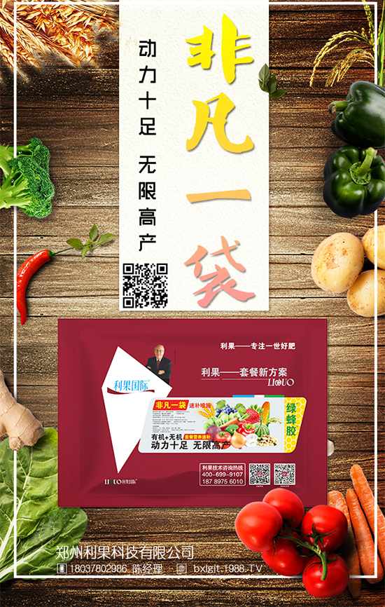 冬天大白菜如何儲(chǔ)存？冬季大白菜保鮮方法