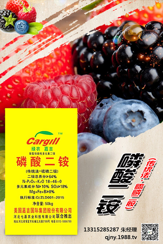 小茴香什么季節(jié)播種？有哪些種植技巧？