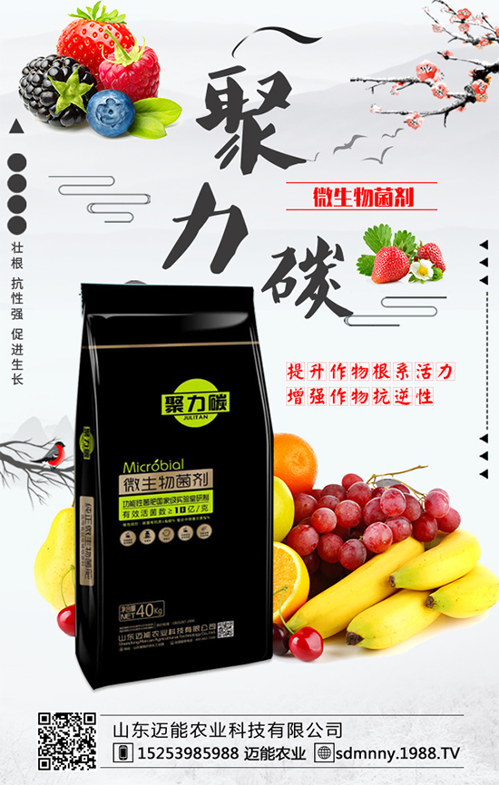 柿子各部位的營養(yǎng)價(jià)值，柿子保鮮的方法有哪些？