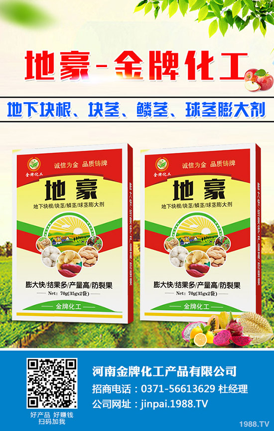 菠菜什么時(shí)候種更合適？菠菜種植技術(shù)和時(shí)間！