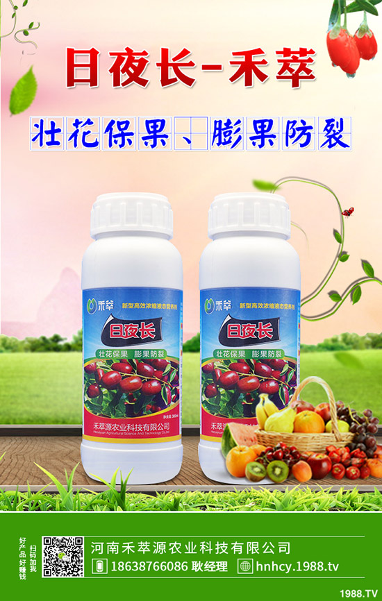 菠菜炭疽病的病因有哪些？菠菜炭疽病的防治要點(diǎn)！