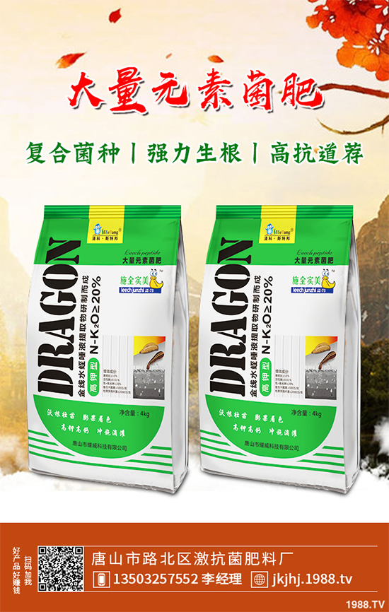 白皮松移栽后枯黃是咋回事？該怎么解決？快來看看吧