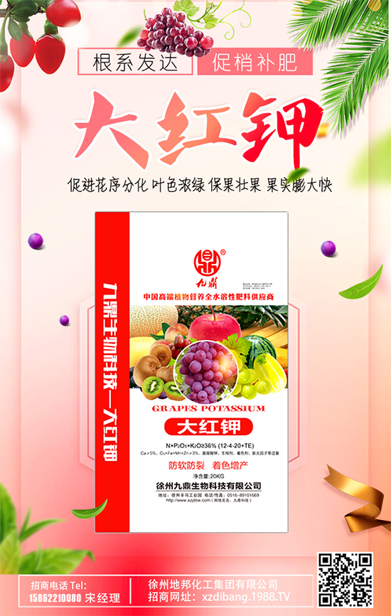 豆芽種植技術(shù)要點(diǎn)有哪些？豆芽有哪些功效作用？