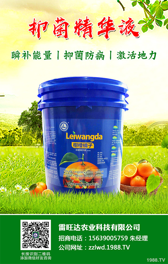 長(zhǎng)期低溫寡照，蔬菜長(zhǎng)勢(shì)差該如何解決？冬季大棚補(bǔ)光的幾項(xiàng)措施