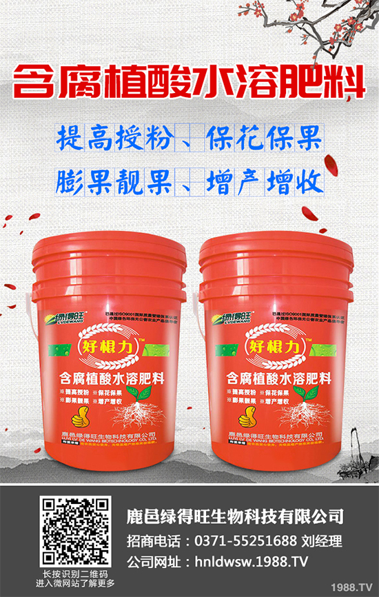 大棚蔬菜沖施肥需要注意什么？冬季大棚蔬菜施肥技術(shù)