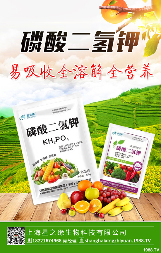 花椰菜花球出現(xiàn)異常是什么原因?該如何解決?快來(lái)看看吧!