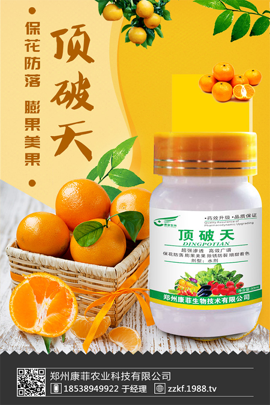 花椰菜軟腐病危害來襲，有沒有好的防治方法？快來看看吧！