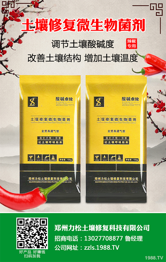 花椰菜軟腐病危害來襲，有沒有好的防治方法？快來看看吧！