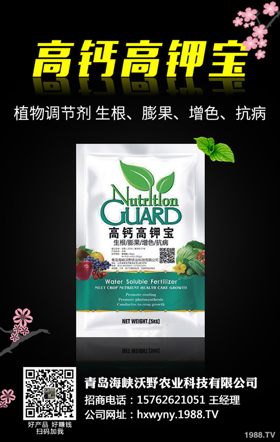 小麥田雜草什么時候防治更佳？小麥雜草解決方案！