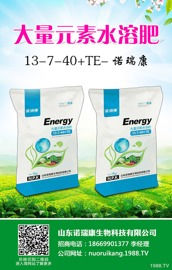     復合肥冬儲政策出臺不明！2019年11月8日最新復合肥價格日報！