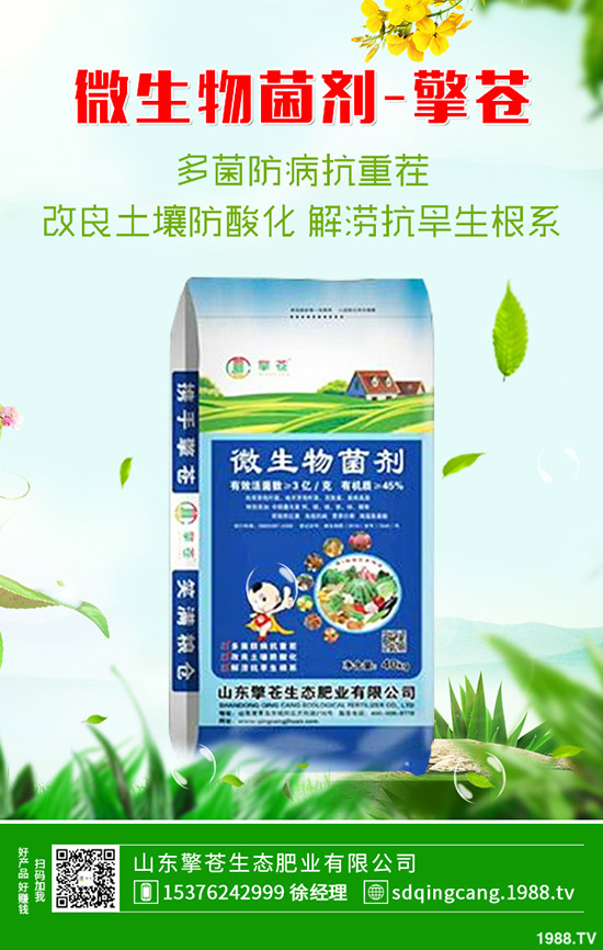     印度再次招標(biāo)！2019年11月8日今日各地區(qū)尿素主流出廠報(bào)價(jià)一覽