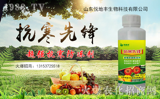 冬季果樹防凍措施你做了嗎？露地果樹防凍措施！