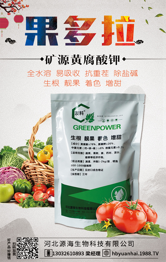 大蒜今日價格多少錢一斤？2020年大蒜種植前景如何？