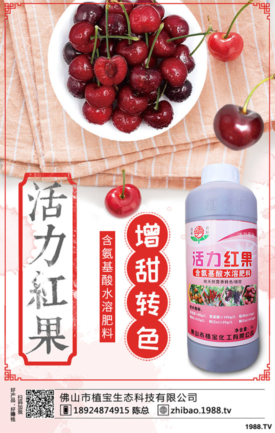 豆角歇伏什么原因？如何應(yīng)對(duì)豆角歇伏？