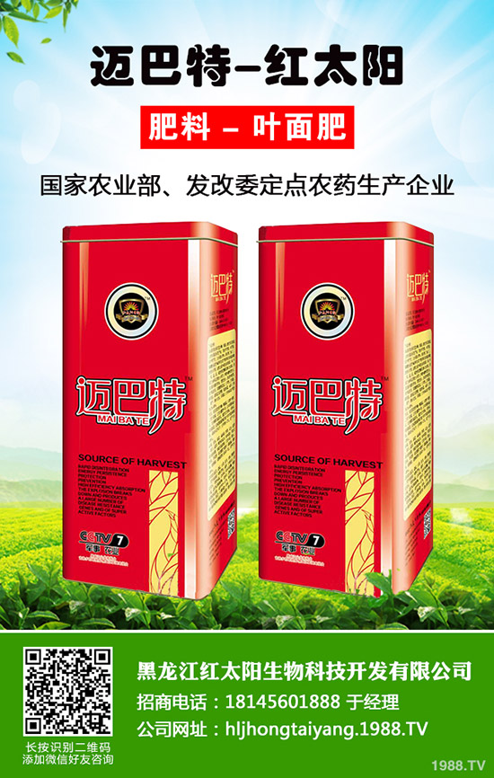 韭菜為什么不分蘗？什么因素影響了韭菜分蘗？