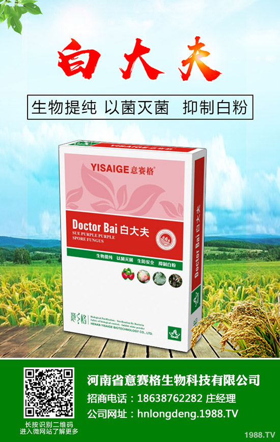 ���Ѷ���ʲô�r(sh��)���^�������Ѷ�����ʲô������