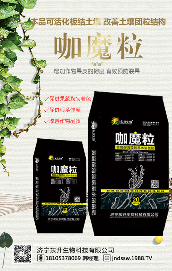 黑玉米價格多少錢一斤？2020年種植前景及效益分析！