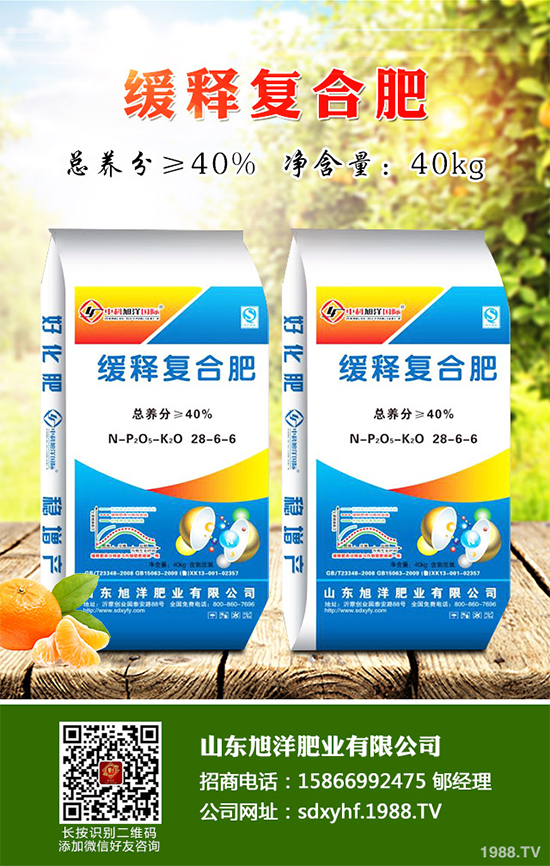 貢菊、杭白菊和胎菊有哪些不同之處？產(chǎn)地在哪？快來(lái)看看吧！