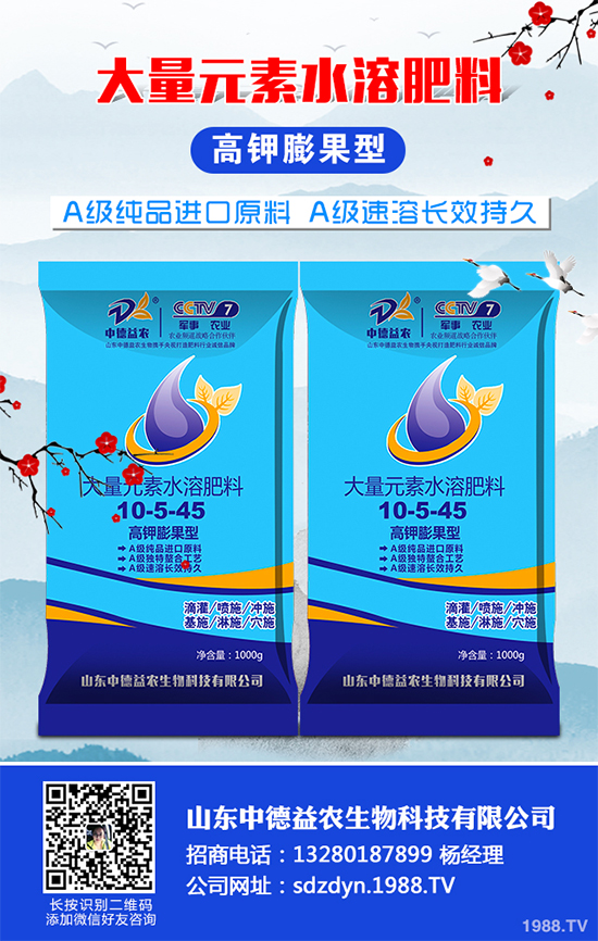 貢菊、杭白菊和胎菊有哪些不同之處？產(chǎn)地在哪？快來(lái)看看吧！