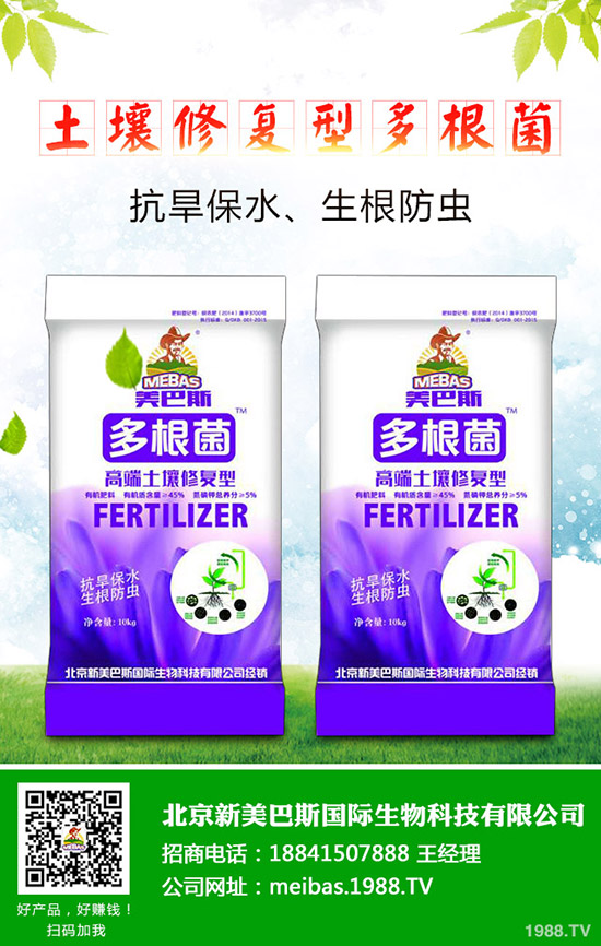 洋蔥的需肥特點(diǎn)有哪些？洋蔥的施肥技術(shù)是什么！