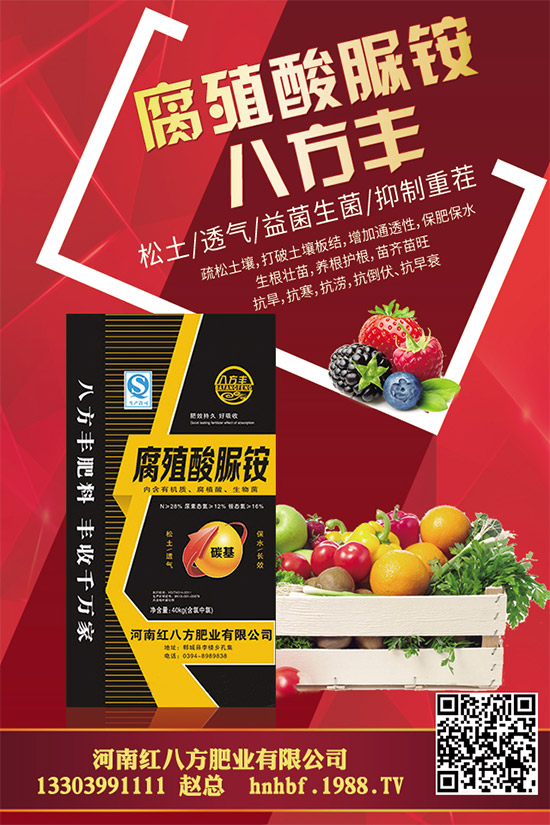 大棚蘑菇該如何種植？大棚蘑菇的種植管理技術