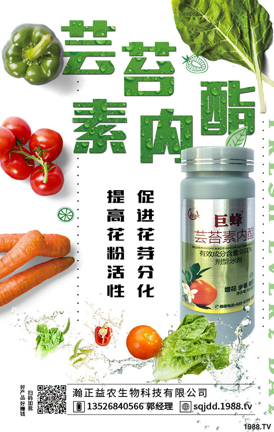 大棚蔬菜采光率低危害，如何提高大棚蔬菜采光率？