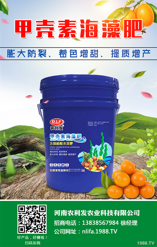蘑菇種植需要什么條件？蘑菇種植環(huán)境要求