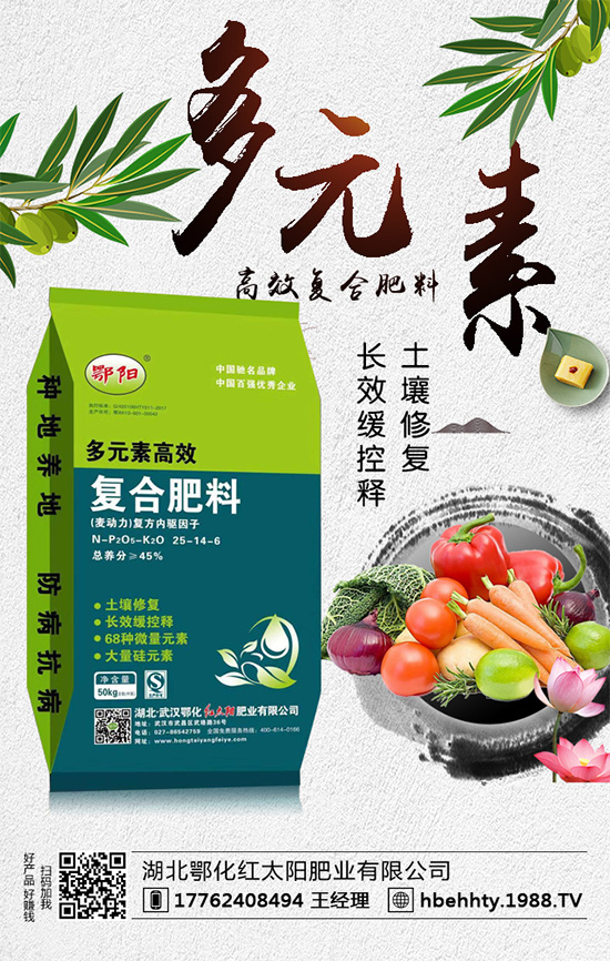 洋蔥什么時間種植？洋蔥的種植要點(diǎn)！