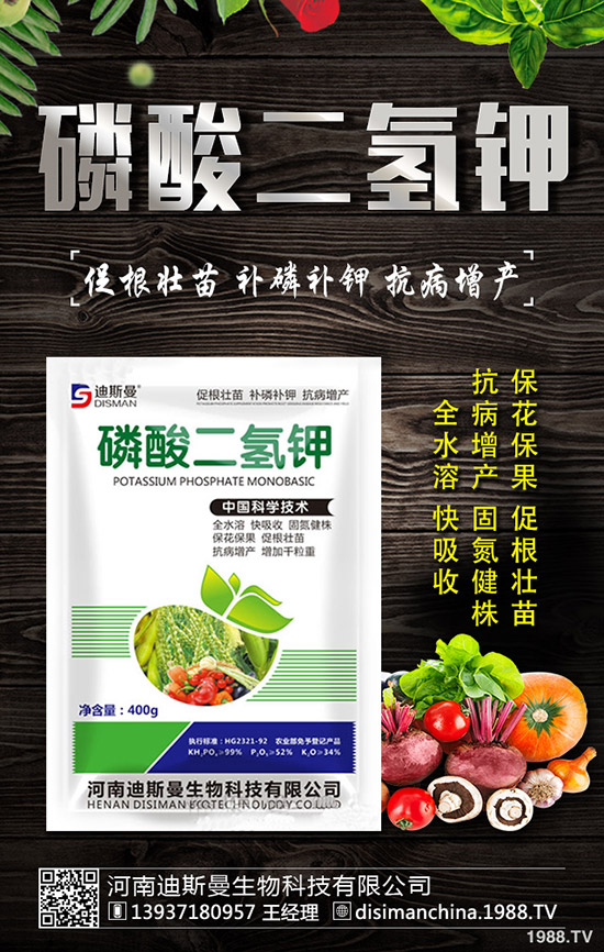 醋栗怎么種植，醋栗種植方法及日常管理技巧！