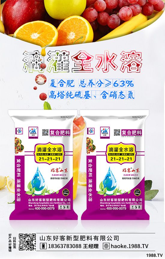 荊芥常見病害有哪些？該如何防治？荊芥常見病害的發(fā)生與防治技巧