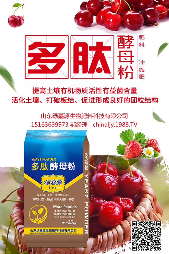 荊芥該如何種植？荊芥的種植環(huán)境要求