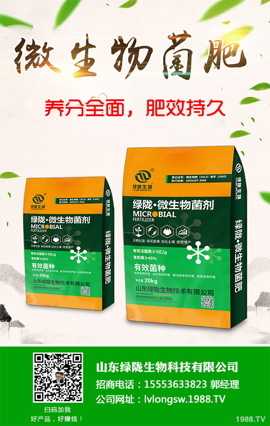 荊芥該如何種植？荊芥的種植環(huán)境要求