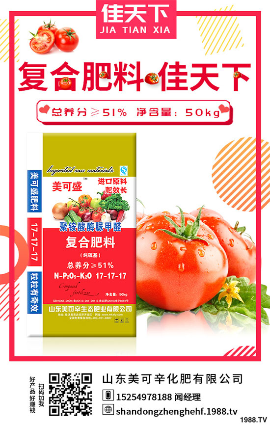 荊芥的功效作用有哪些？什么人不能吃荊芥？