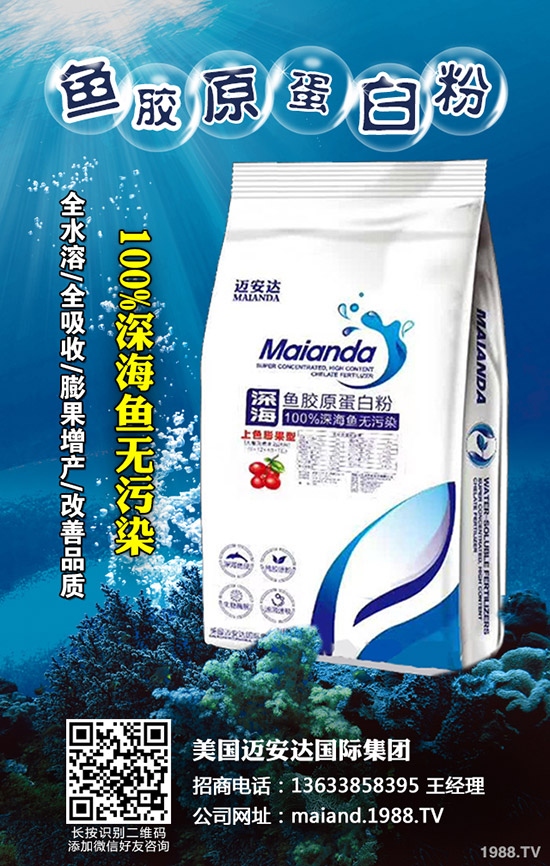 草莓旺長是什么原因，草莓控旺的方法有哪些？