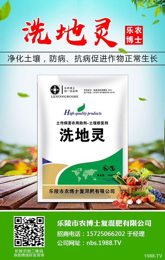 莧菜什么時候種植，莧菜的種植時間和方法！