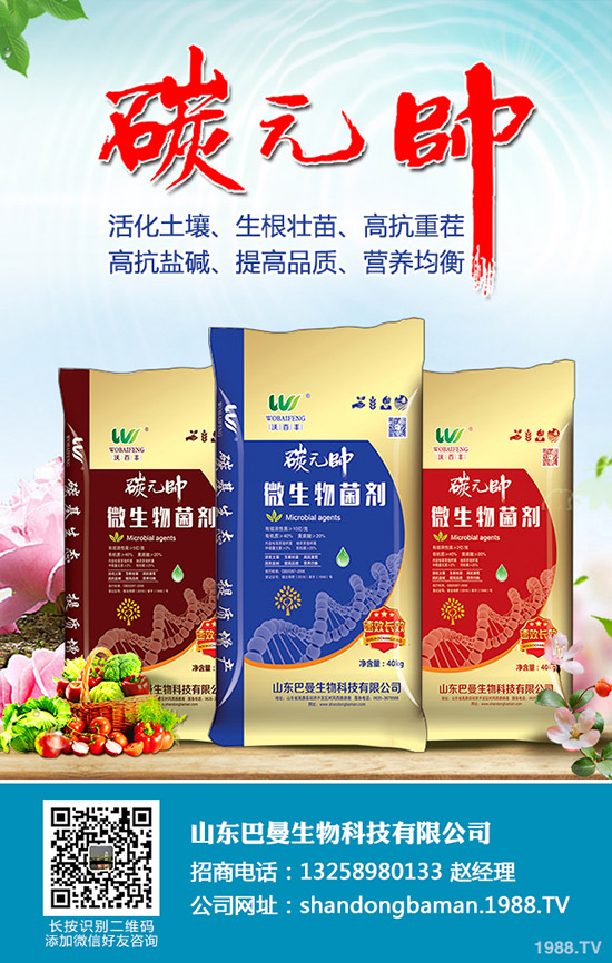     尿素價(jià)格小幅度變動(dòng)！12月24日各地區(qū)尿素主流出廠報(bào)價(jià)！