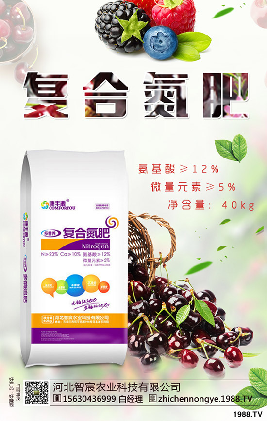 綠花菜該怎么種？綠花菜的高產(chǎn)種植技術(shù)