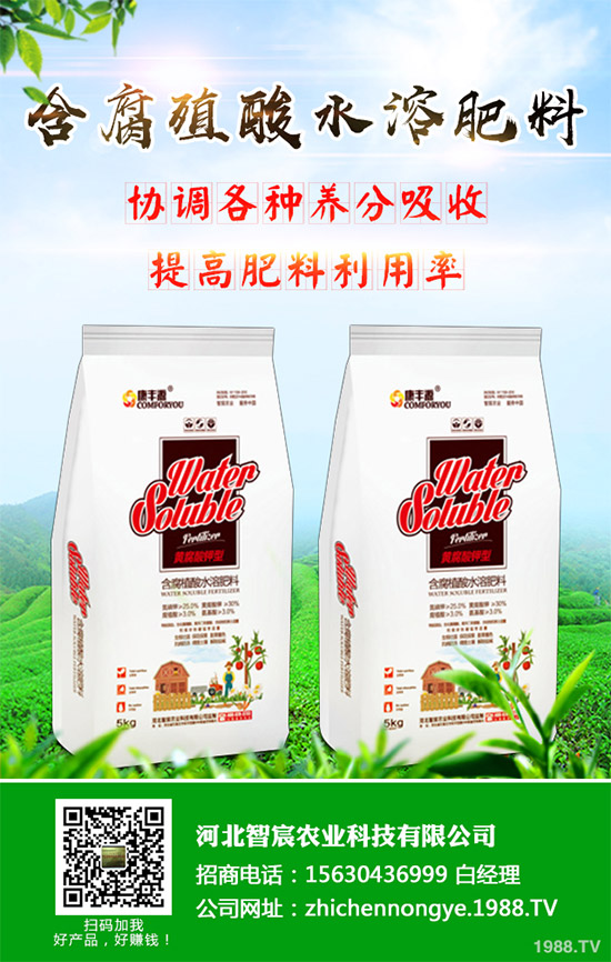 綠花菜該怎么種？綠花菜的高產(chǎn)種植技術(shù)