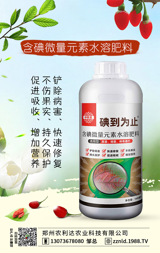 紅蘿卜如何管理才能豐收？六大科學管理我們知道嗎？